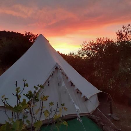 Hidden Valley Andalucia アロラ エクステリア 写真