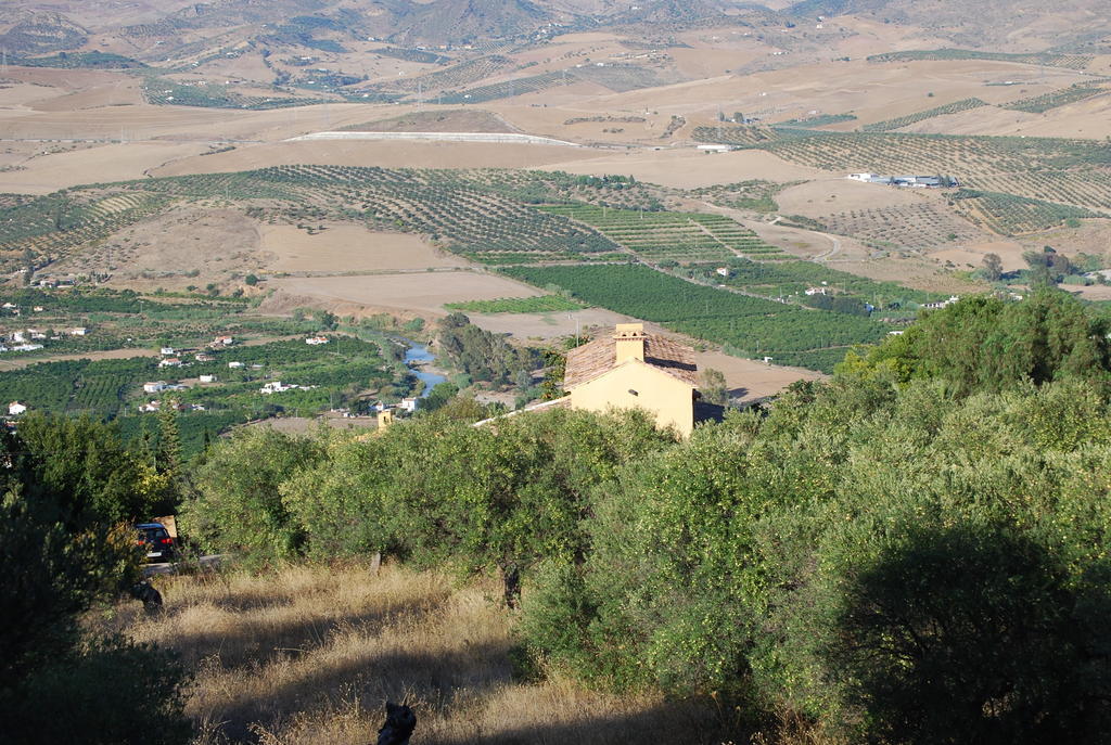 Hidden Valley Andalucia アロラ エクステリア 写真